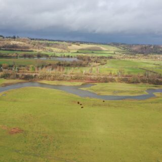 The Chilterns National Landscape welcomes publication of the government’s plan for nature