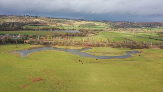 The Chilterns National Landscape welcomes publication of the government’s plan for nature