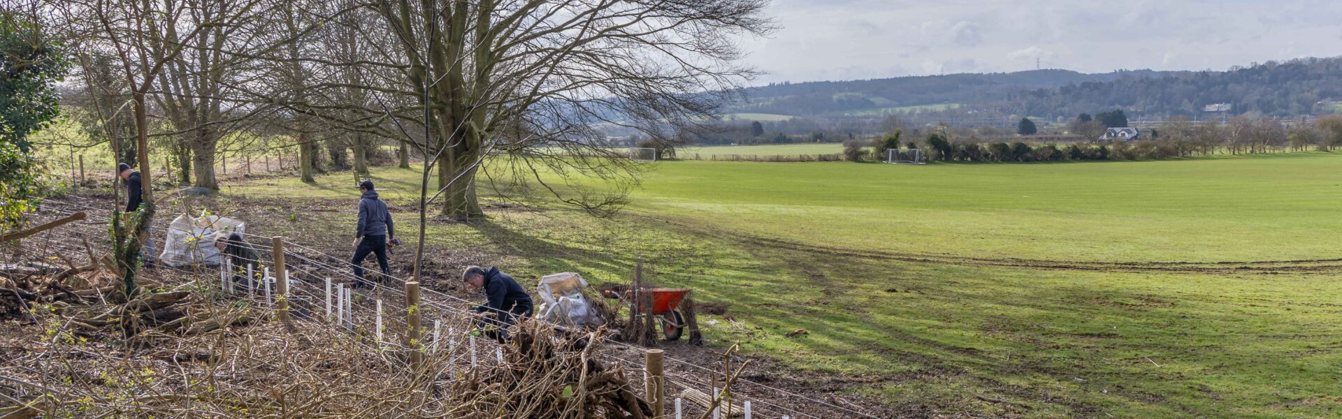 Mend the Gap: four years of planting across the Goring Gap
