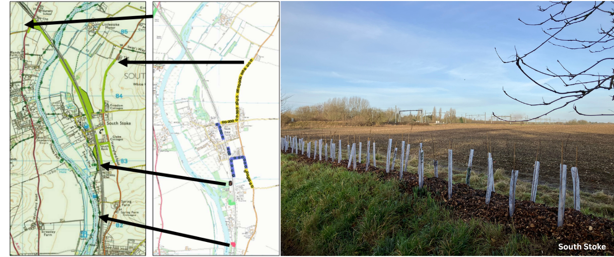 Image showing a map and then a photo of a field with a newly planted hedge.