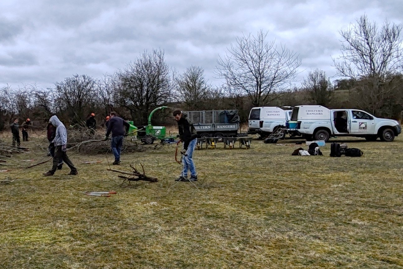 long orchard scrub clearance