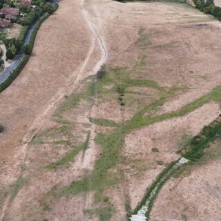A greener Hamble: seeing the benefits of river restoration in a summer of drought