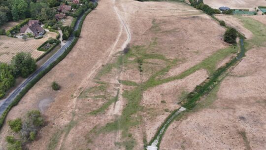 A greener Hamble: seeing the benefits of river restoration in a summer of drought