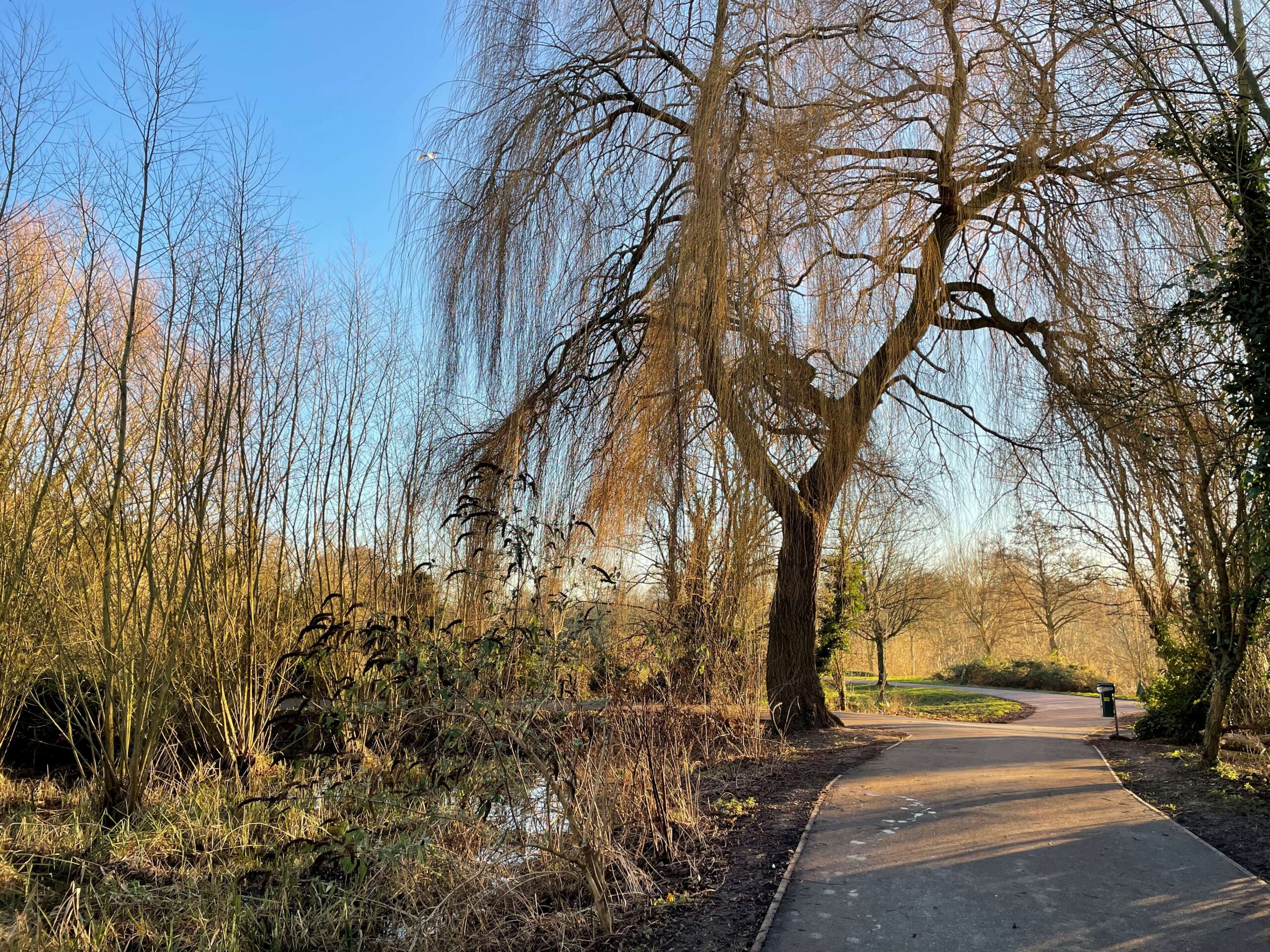 Rickmansworth Aquadrome Jo Copley 2