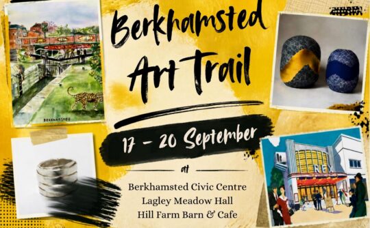 Berk Art Fest 26