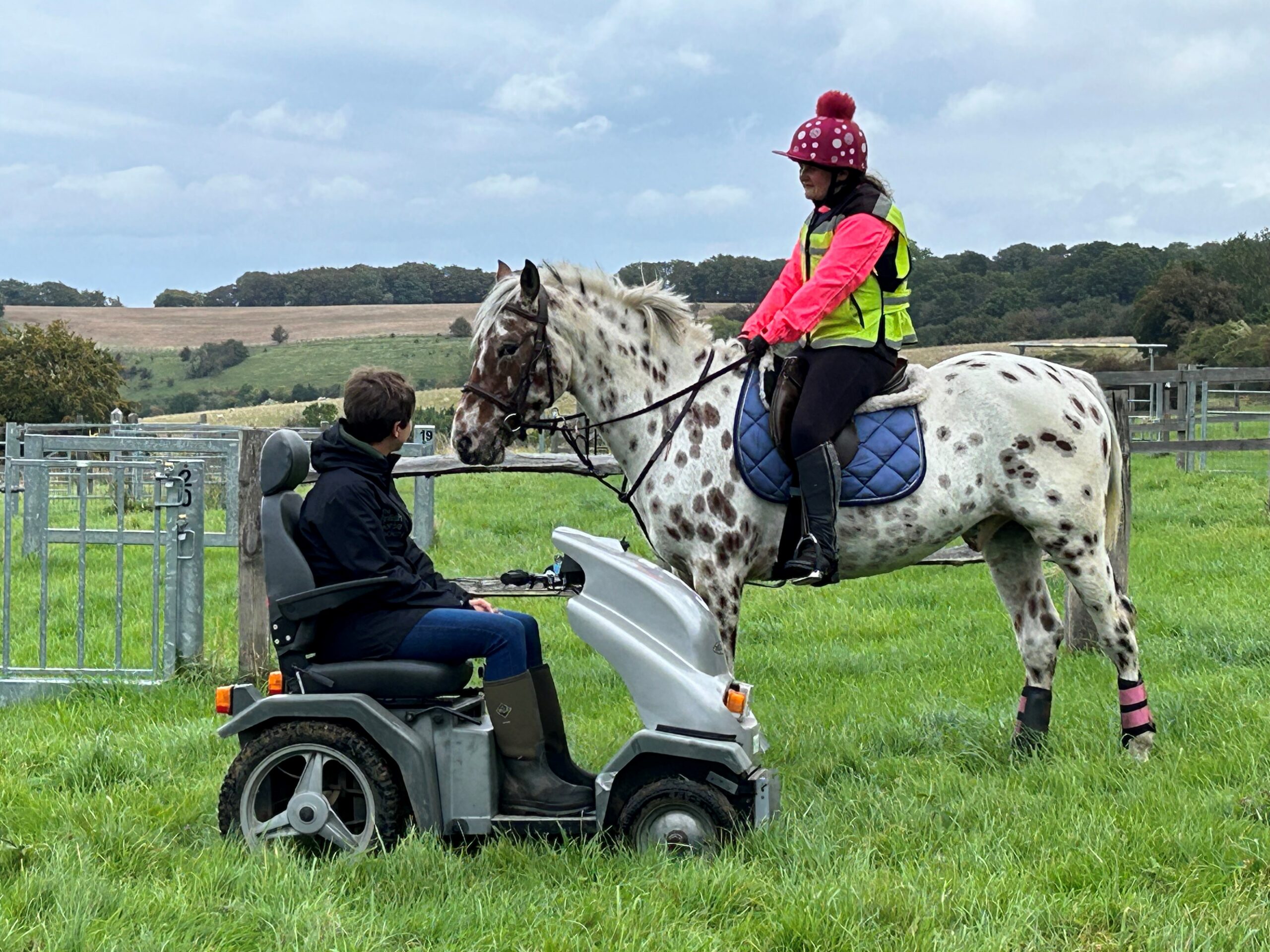 woman riding a horse next to a man using a mobility tramper in a field