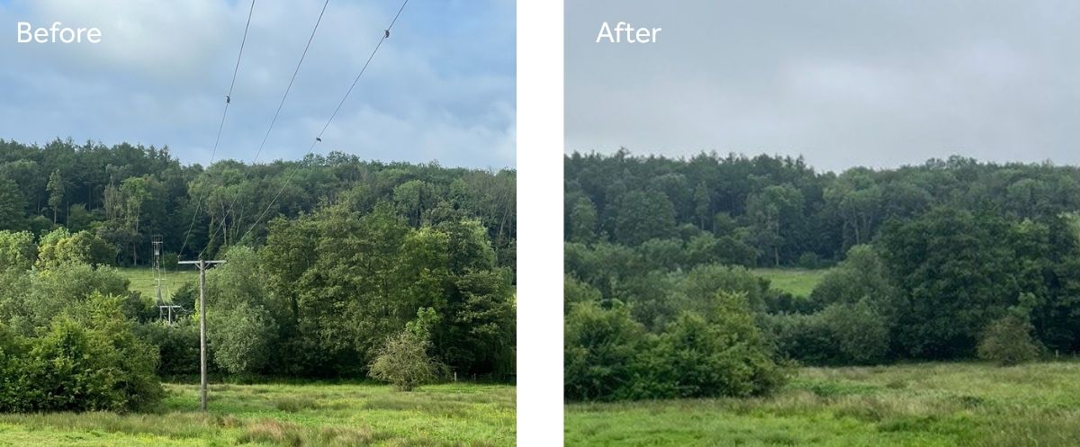 Two images side by side of the same landscape, showing overhead electricity poles running through a field and after them having been removed
