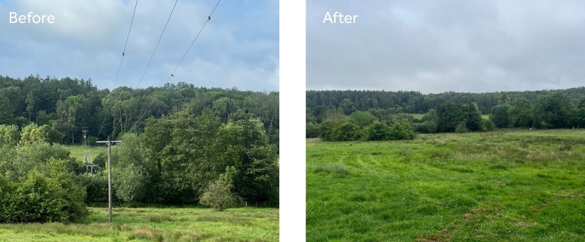 Two images side by side of the same landscape, showing overhead electricity poles running through a field and after them having been removed