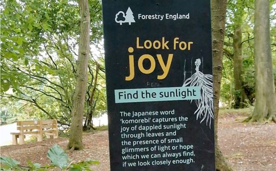Forestry England sign in woods