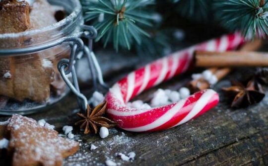 Festive biscuits and candy canes
