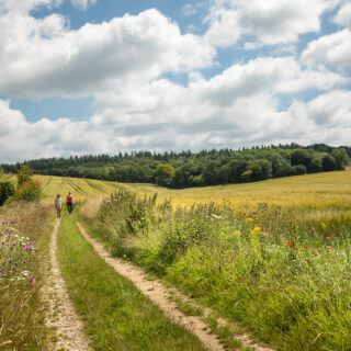 Annual Review 2025/26: Working together for a thriving Chilterns
