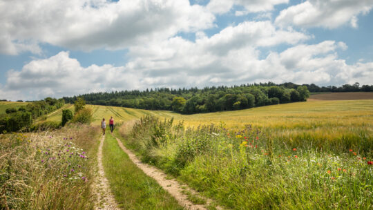 Our Annual Review 2025/26: Working together for a thriving Chilterns