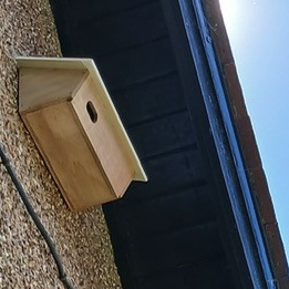 swift nest box in the shade_cropped